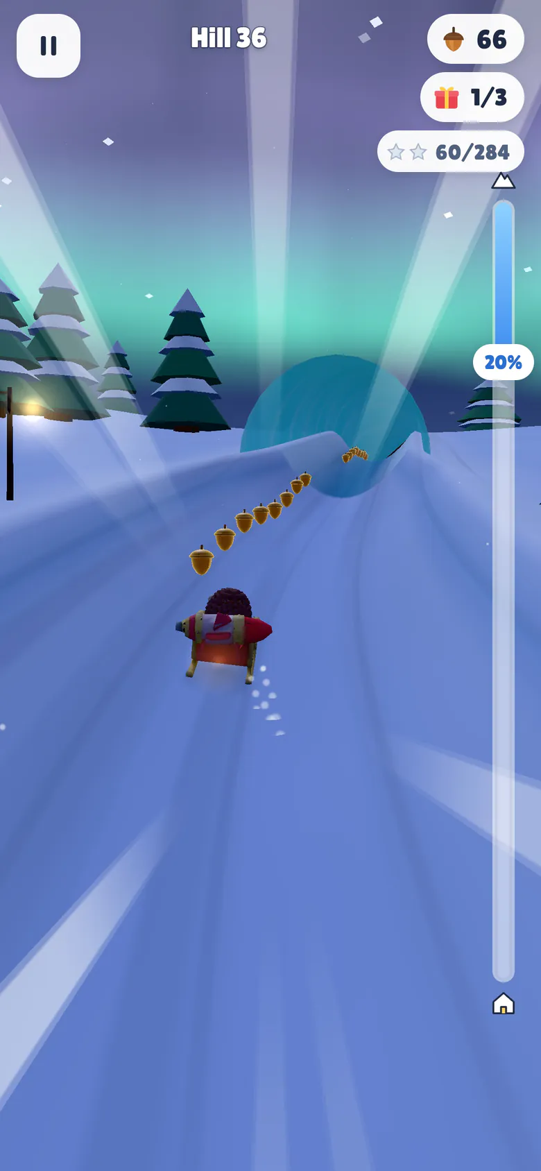 Hill 36 on Aurora Peaks at night: the hedgehog on the red rocket sleigh speeds down the chute along a line of acorns toward a glowing ice cave, with snowy pines, lamp posts and a green aurora across the violet sky.